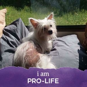 Meet your Posher, Robin